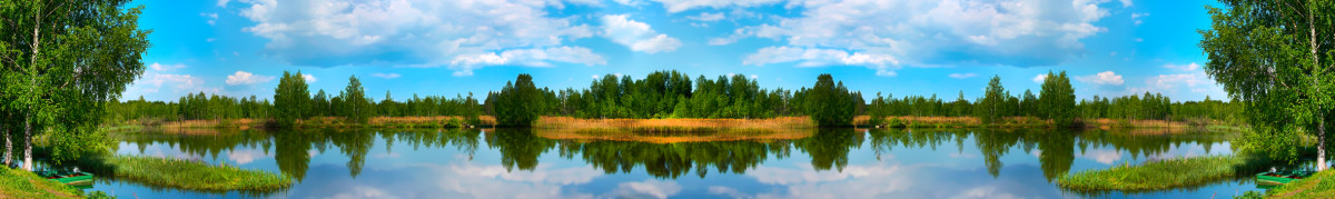 Фартуки для кухни: Природа - 5343