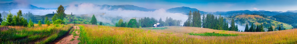 Фартуки для кухни: Природа - 5345