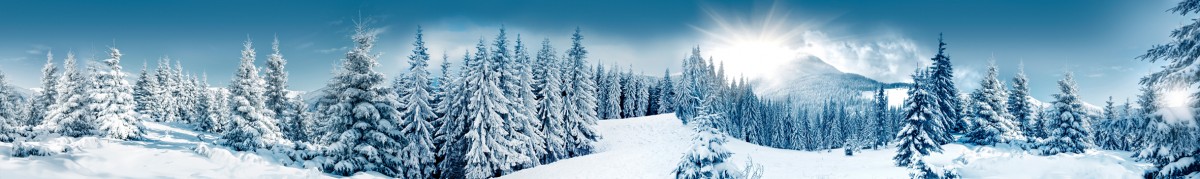 Фартуки для кухни: Природа - 5352