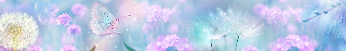 Фартуки для кухни: Природа - 5363