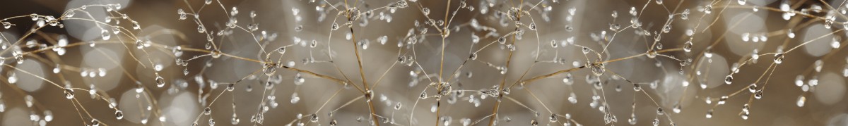 Фартуки для кухни: Природа - 5365