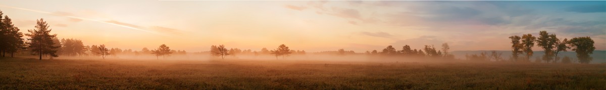 Фартуки для кухни: Природа - 5369