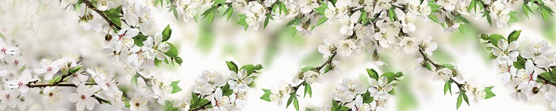 Фартуки для кухни: Цветы - 3170