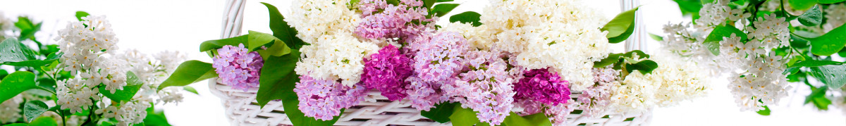 Фартуки для кухни: Цветы - 3379