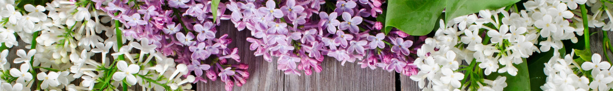 Фартуки для кухни: Цветы - 3423