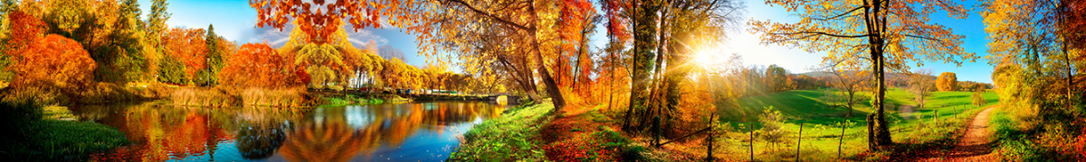 Фартуки для кухни: Популярное -3045